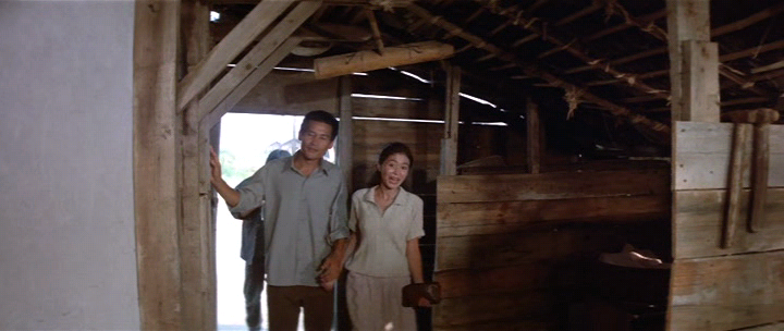 The Ball Shot by a Midget.avi_001358856.png