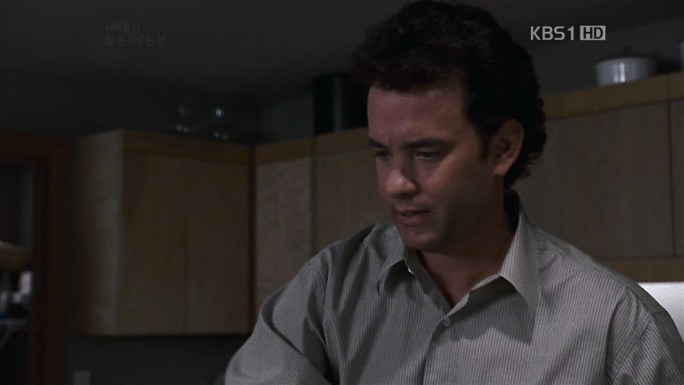 시애틀의_잠_못_이루는_밤_Sleepless_In_Seattle_1993_KorDub_HDRip_x264_1080p-Ernie.mkv_0 (13).png