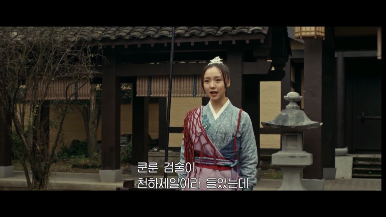 와호장룡_무림강호_(자체한글)_Heroes_Invitation.2018.1080p.KOR.FHDRip.H264.AAC-RTM.mkv_00 (3).png