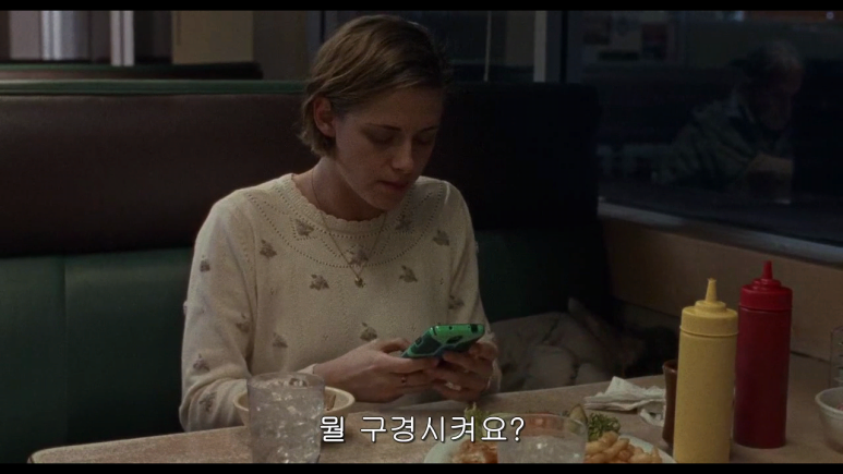 크리스틴_스튜어트_어떤_여자들_자체한글_Certain_Women_2016.mkv_011609189.png