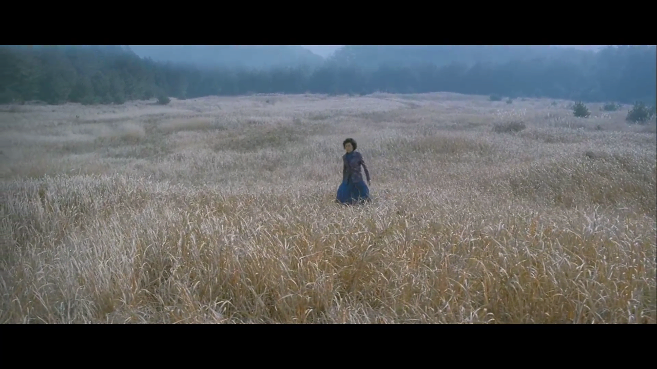 마더.(3.6).Mother.2009.FHD.1080P.mp4_000123572.png