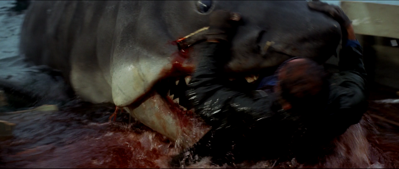 Jaws.1975.1080p.BluRay.X264-AMIABLE.mkv_007059553.png