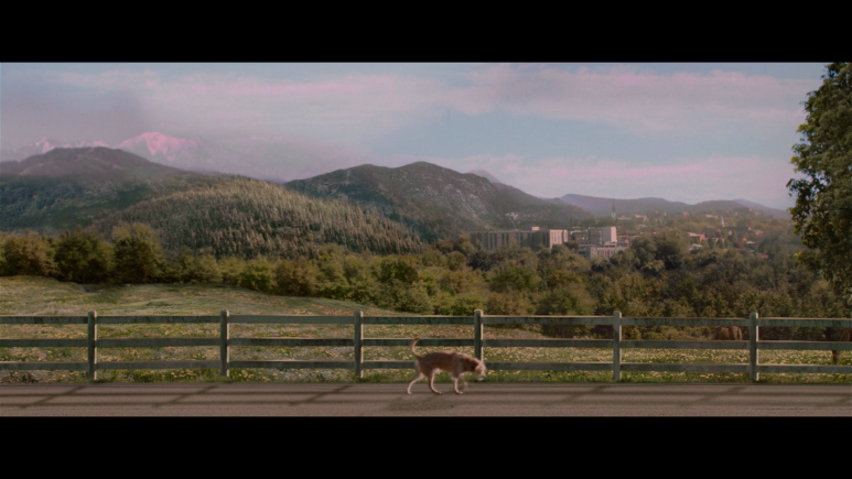 ★★_최신영화_서양영화_★★_벤지(자체자막).Benji.2018.1080p.NF.WEB-DL.DD5.1.x264-NTGEtHD.mkv_0 (3).png