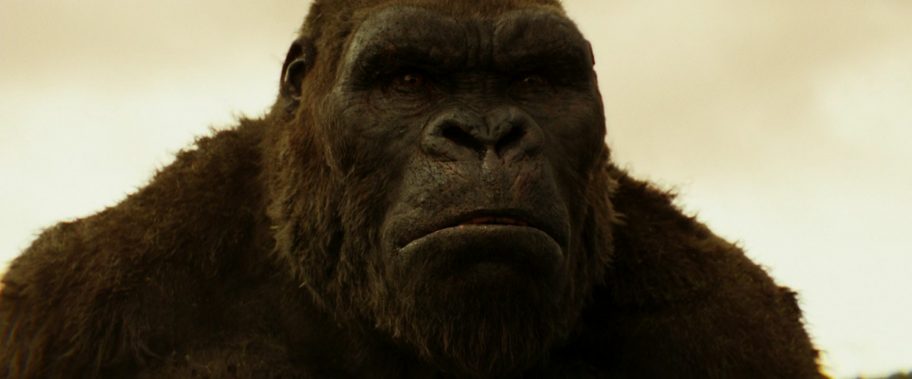 Kong.Skull.Island.2017.1080p.BluRay.x264.DTS-HD.MA.7.1-FGT.mkv_001905657.png