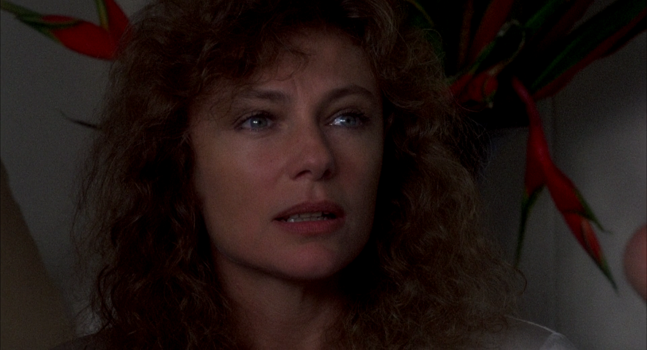 Wild Orchid.1989.UNRATED.1080p.BluRay.x264.DTS-FGT.mkv_005509462.png