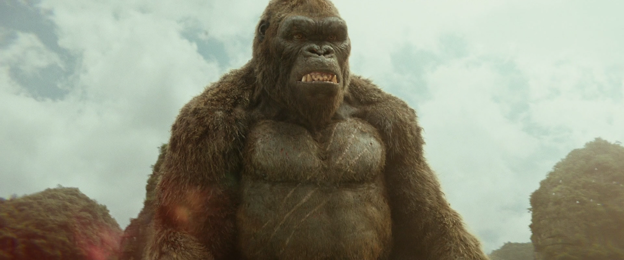 Kong.Skull.Island.2017.1080p.BluRay.x264.DTS-HD.MA.7.1-FGT.mkv_003281325.png