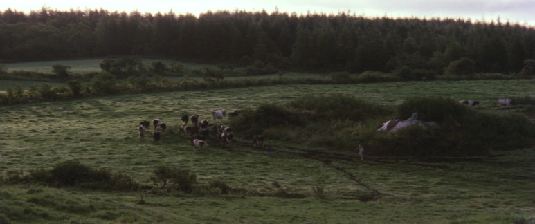 A.Distant.Cry.from.Spring.1980.720p.BluRay.x264-WiKi.mkv_001859623 (1).png