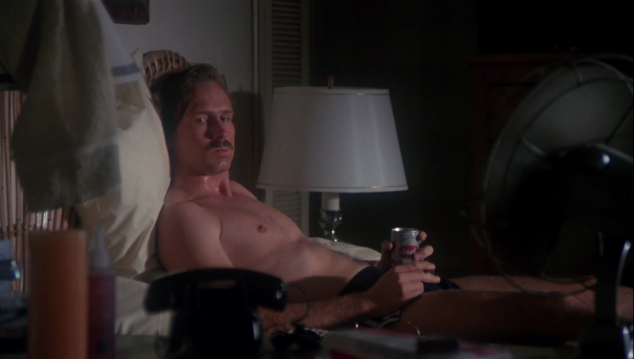 보디 히트 Body.Heat.1981.1080p.BluRay.x264.VPPV.mkv_003041508.png