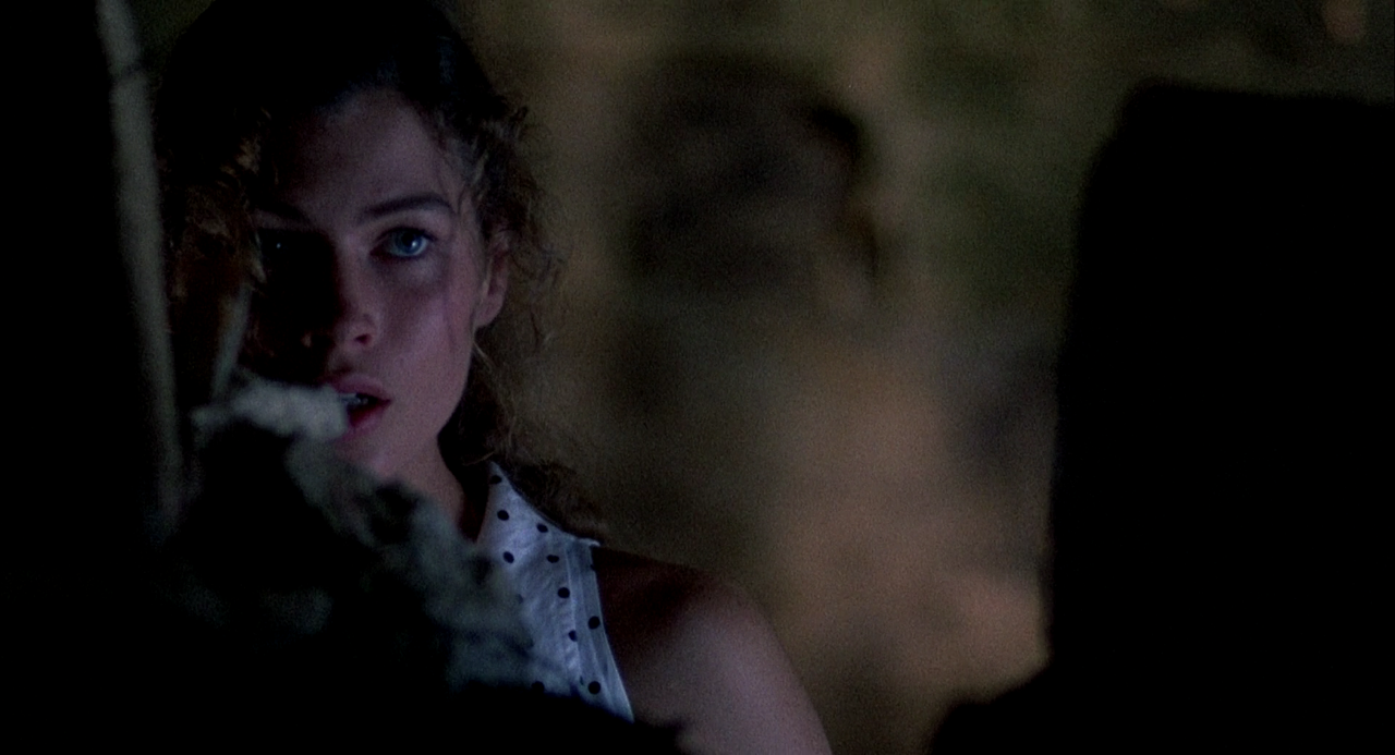 Wild Orchid.1989.UNRATED.1080p.BluRay.x264.DTS-FGT.mkv_000918501.png