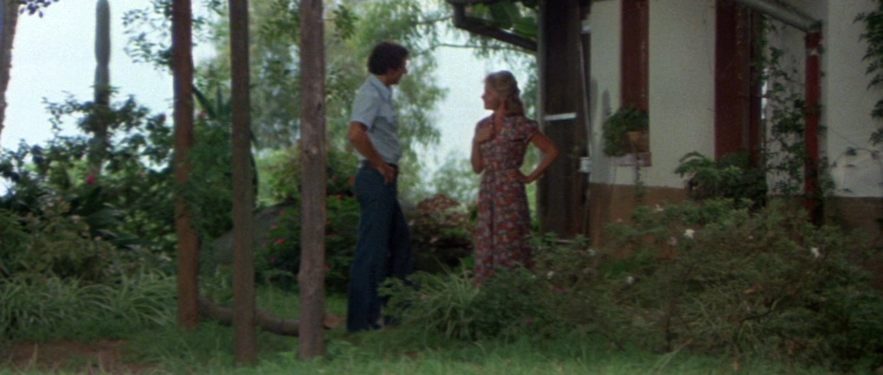 부시맨 The.Gods.Must.Be.Crazy.1984.1080p.WEBRip.x265-RARBG.mp4_011448920.png