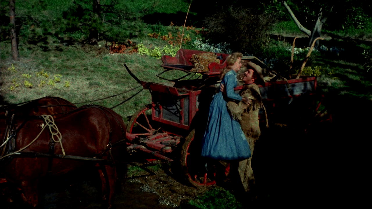 Seven.Brides.for.Seven.Brothers.1954.Alt.WS.Version.1080p.BluRay.x264-PSYCHD.mkv_000791791.png