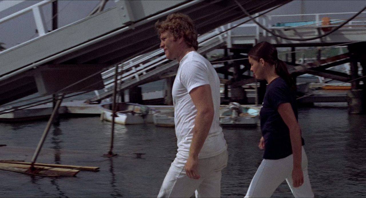 Love Story (1970) RM4K (1080p BluRay x265 HEVC 10bit AAC 5.1 Garshasp).mkv_005020917.png