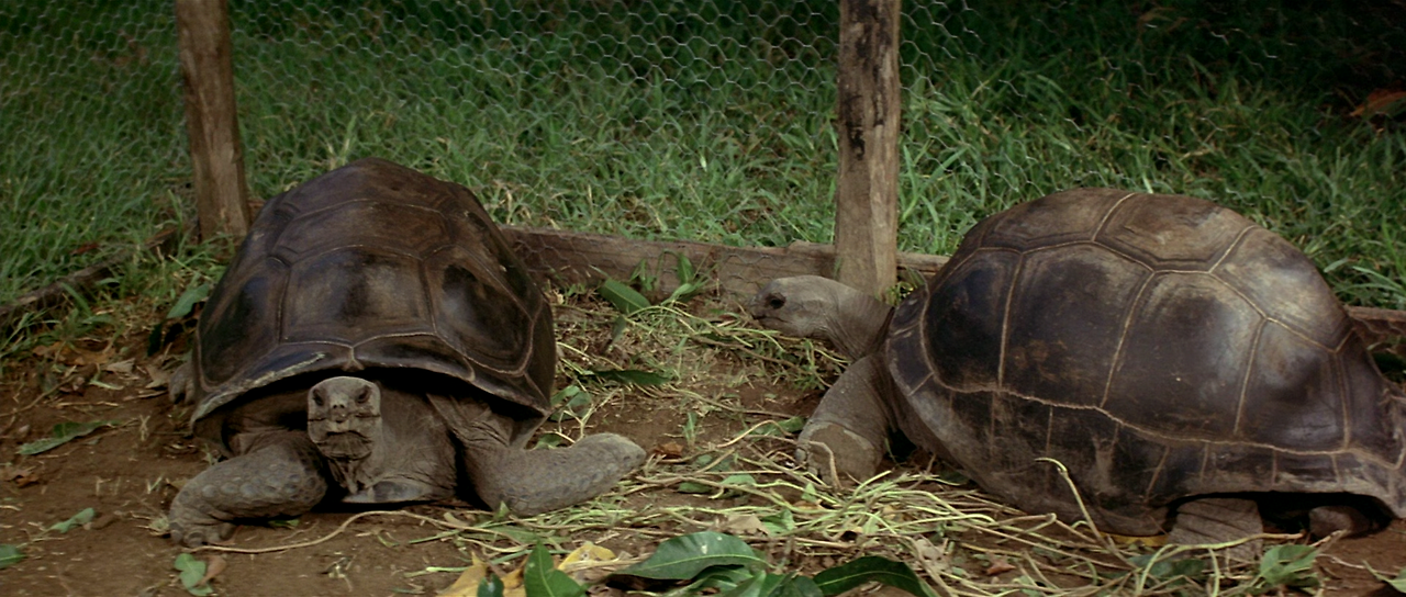 엠마뉴엘 3 - 굿바이 엠마뉴엘 Emmanuelle.3.1977.FRENCH.1080p.BluRay.x265-VXT.mp4_001981688.png