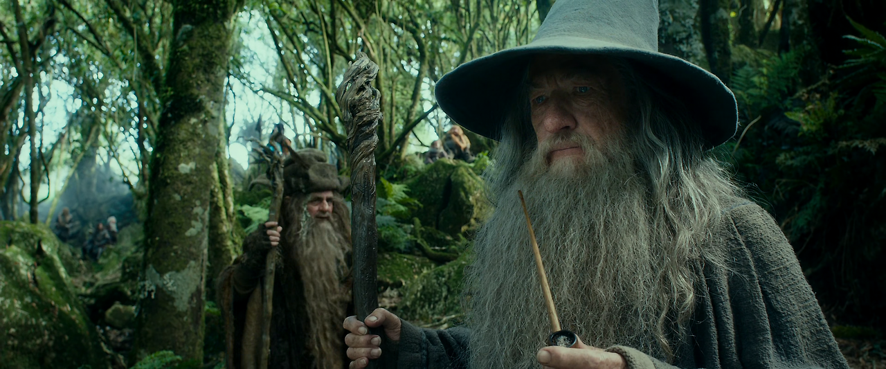 1부 호빗;뜻밖의 여정.The Hobbit-An Unexpected Journey Extended.2012.2160p.x265.10bit.FS92-Joy.mkv_004562266.png