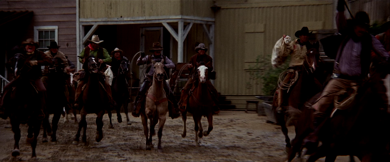 Blazing.Saddles.1974.1080p.BluRay.x264-WPi.mkv_000836502.png