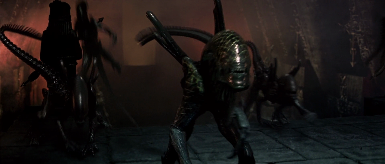 AVP.Alien.vs.Predator.2004.UNRATED.1080p.BluRay.H264.AAC-RARBG.mp4_012114536.png