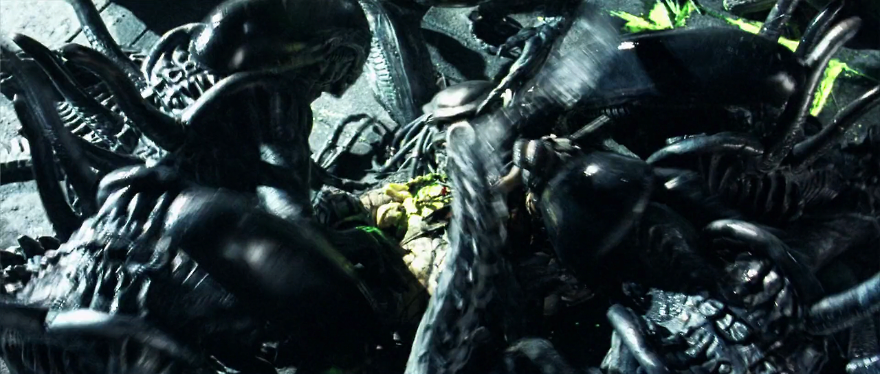 AVP.Alien.vs.Predator.2004.UNRATED.1080p.BluRay.H264.AAC-RARBG.mp4_010959648.png