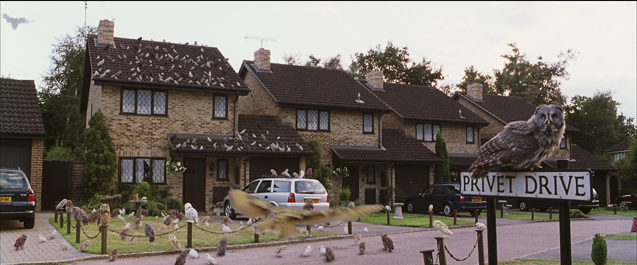 해리 포터와 마법사의 돌.Harry.Potter.and.the.Sorcerer's.Stone.2001.1080p.HQ.10bit.BluRay.5.1.x265.HEVC-MZABI.mkv_001235804.png