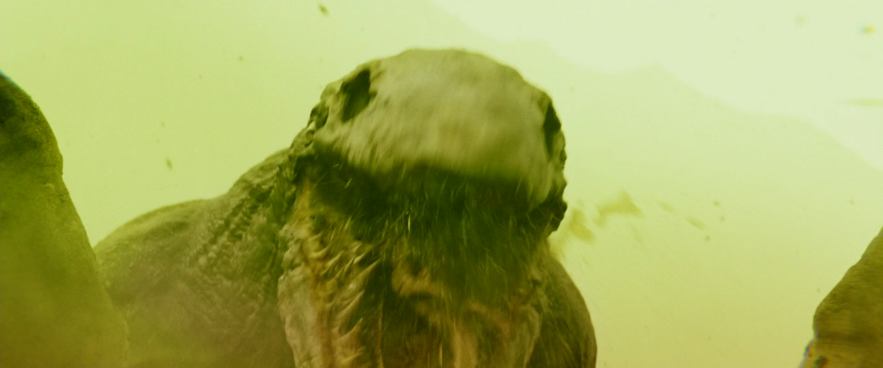 Kong.Skull.Island.2017.1080p.BluRay.x264.DTS-HD.MA.7.1-FGT.mkv_004740618.png