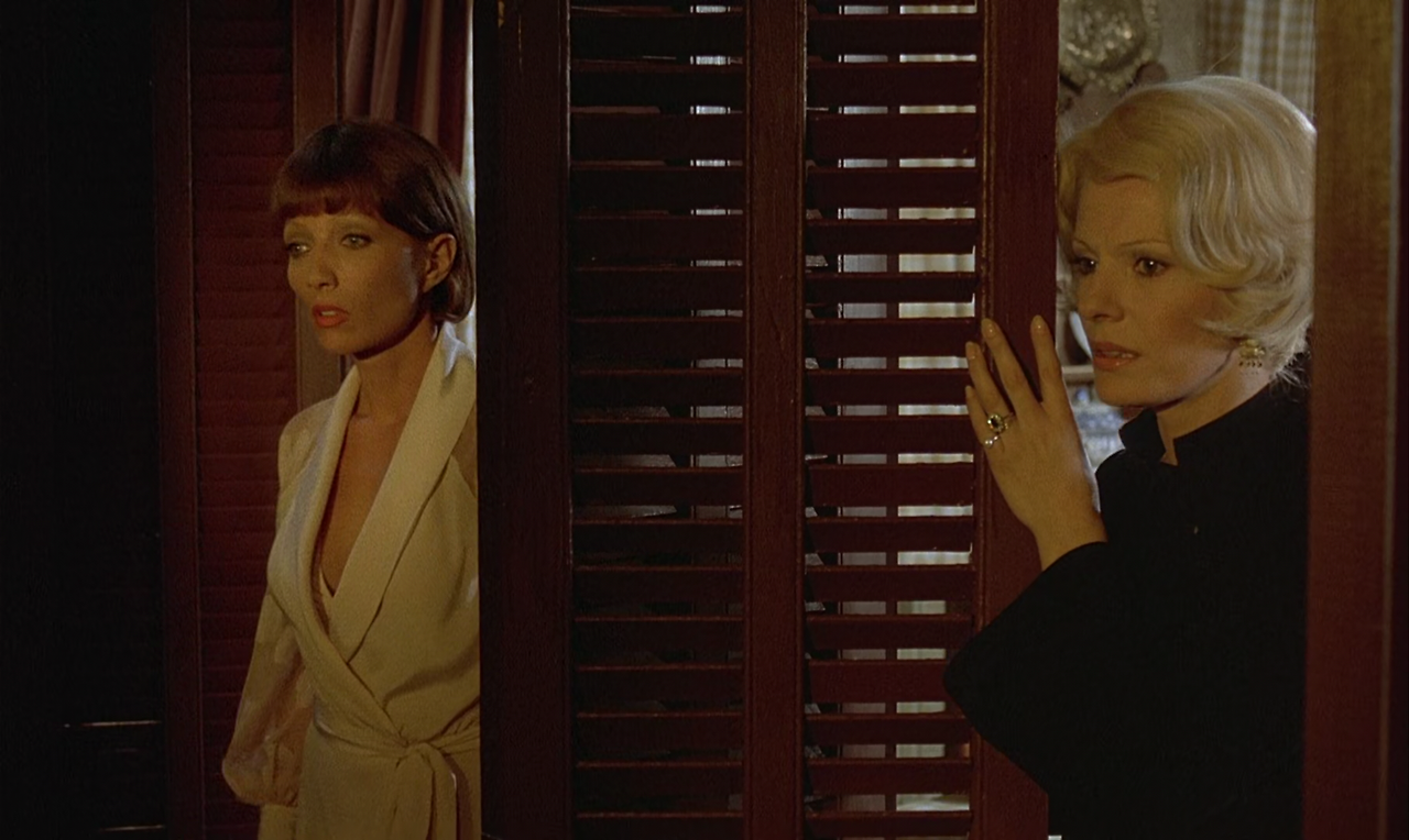 The Discreet Charm of the Bourgeoisie 1972 (1080p Bluray x265 HEVC 10bit AAC 2.0 French Tigole).mkv_000512500.png