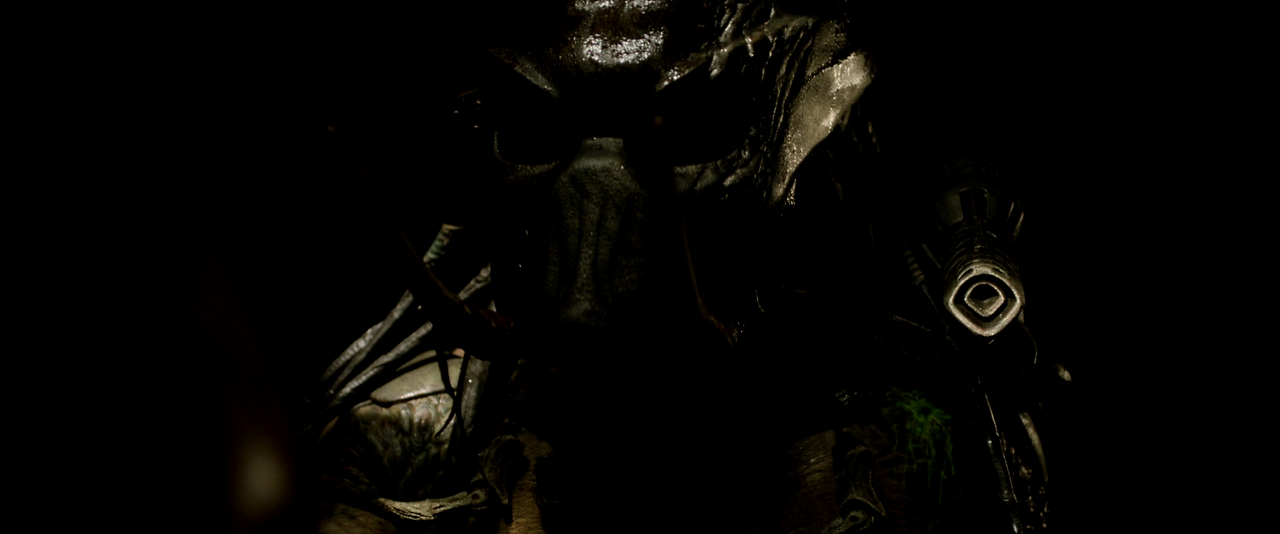 Predators.2010.REMASTERED.1080p.BluRay.x264.DTS-SWTYBLZ.mkv_004428883.png