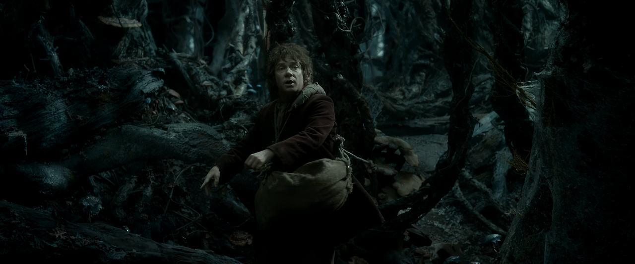 2부 호빗;스마우그의 폐허.The Hobbit-The Desolation of Smaug Edition.2013.Extended.2160p.x265.10bit.FS93-Joy.mkv_002178676.png