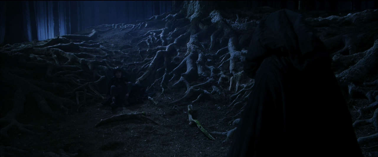 해리 포터와 마법사의 돌.Harry.Potter.and.the.Sorcerer's.Stone.2001.1080p.HQ.10bit.BluRay.5.1.x265.HEVC-MZABI.mkv_015342297.png