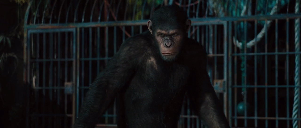 Rise.Of.The.Planet.Of.The.Apes.2011.720p.BluRay.H264.AAC-RARBG.mp4_011159662.png