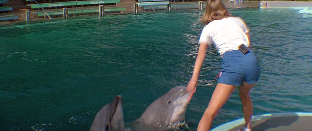 Jaws.3.1983.1080p.BluRay.H264.AAC-RARBG.mp4_002927583.png
