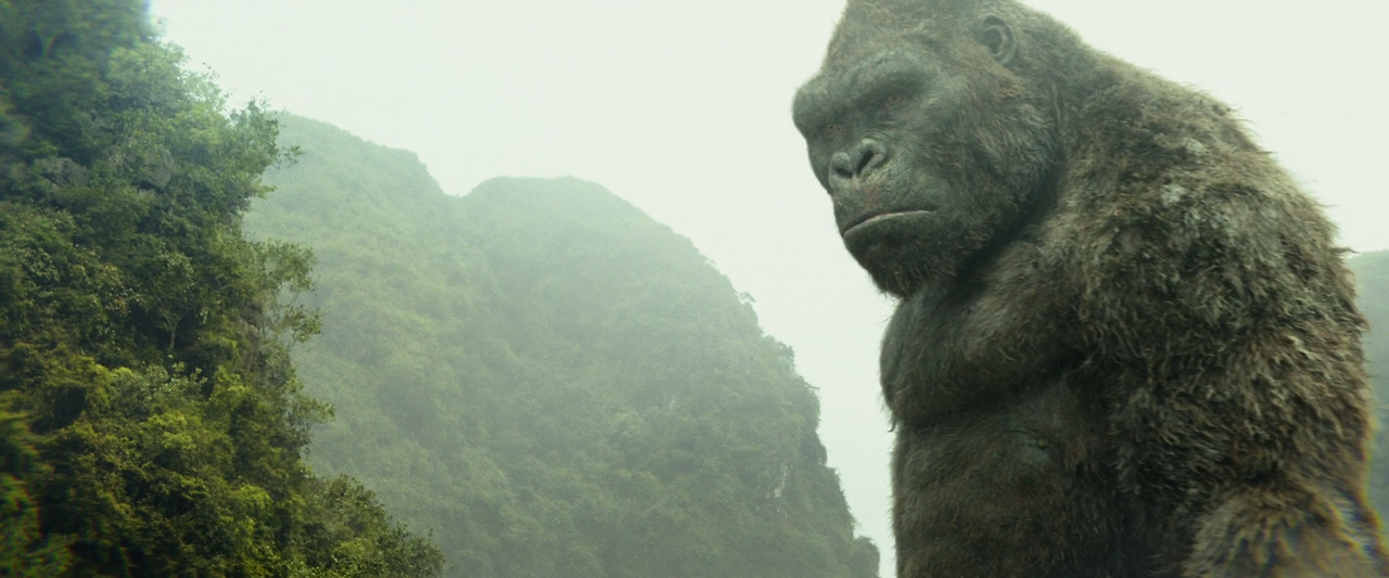 Kong.Skull.Island.2017.1080p.BluRay.x264.DTS-HD.MA.7.1-FGT.mkv_002889141.png