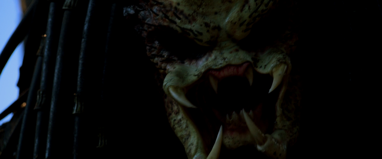 Predators.2010.REMASTERED.1080p.BluRay.x264.DTS-SWTYBLZ.mkv_002389762.png