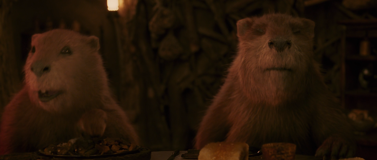 The.Chronicles.of.Narnia - The.Lion.The.Witch.and.the.Wardrobe.2005.1080p.BluRay.DTS-TerrieuS.mkv_002964587.png