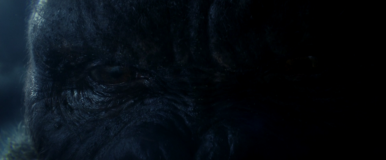 Kong.Skull.Island.2017.1080p.BluRay.x264.DTS-HD.MA.7.1-FGT.mkv_005367120.png