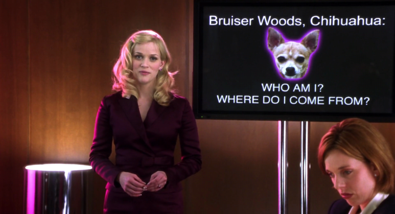 금발이_너무해_2_Legally.Blonde.2.Red.White.and.Blonde.2003.1080p.BrRip.x264.YIFY.m (1).png