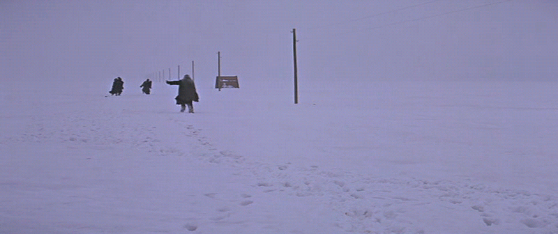 Doctor.Zhivago.1965.XviD.AC3.CD3-WAF.avi_004051146.png