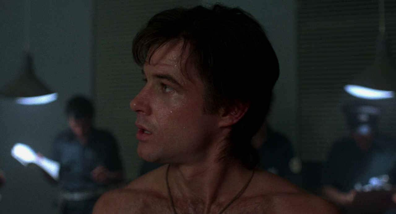 미드나잇 익스프레스 Midnight.Express.1978.1080p.BluRay.x265-RARBG.mp4_000682598.png