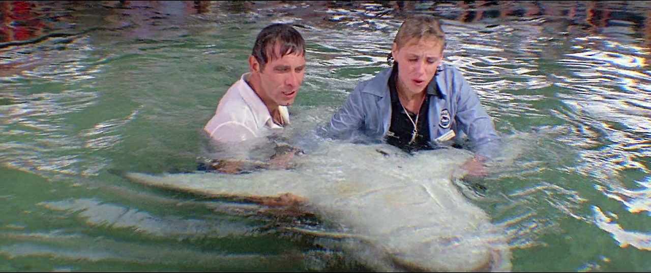 Jaws.3.1983.1080p.BluRay.H264.AAC-RARBG.mp4_005714715.png