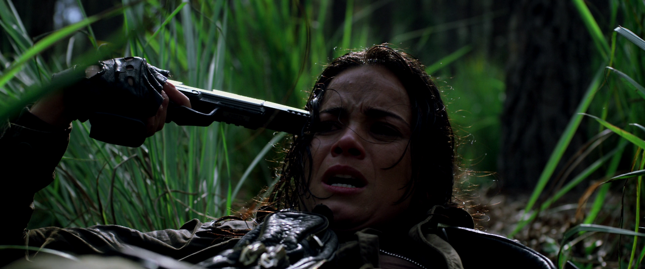 Predators.2010.REMASTERED.1080p.BluRay.x264.DTS-SWTYBLZ.mkv_001754461.png