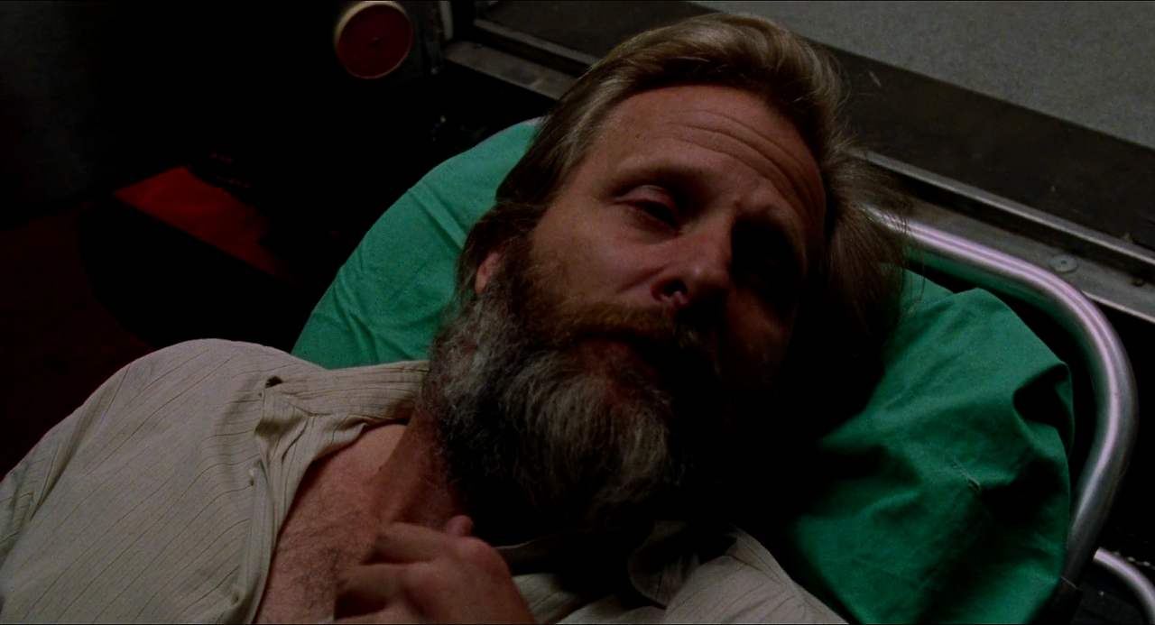 오징어와 고래 The.Squid.and.the.Whale.2005.REMASTERED.1080p.BluRay.H264.AAC-RARBG.mp4_004236653.png