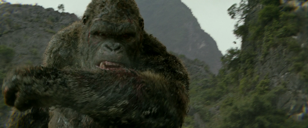 Kong.Skull.Island.2017.1080p.BluRay.x264.DTS-HD.MA.7.1-FGT.mkv_005972893.png