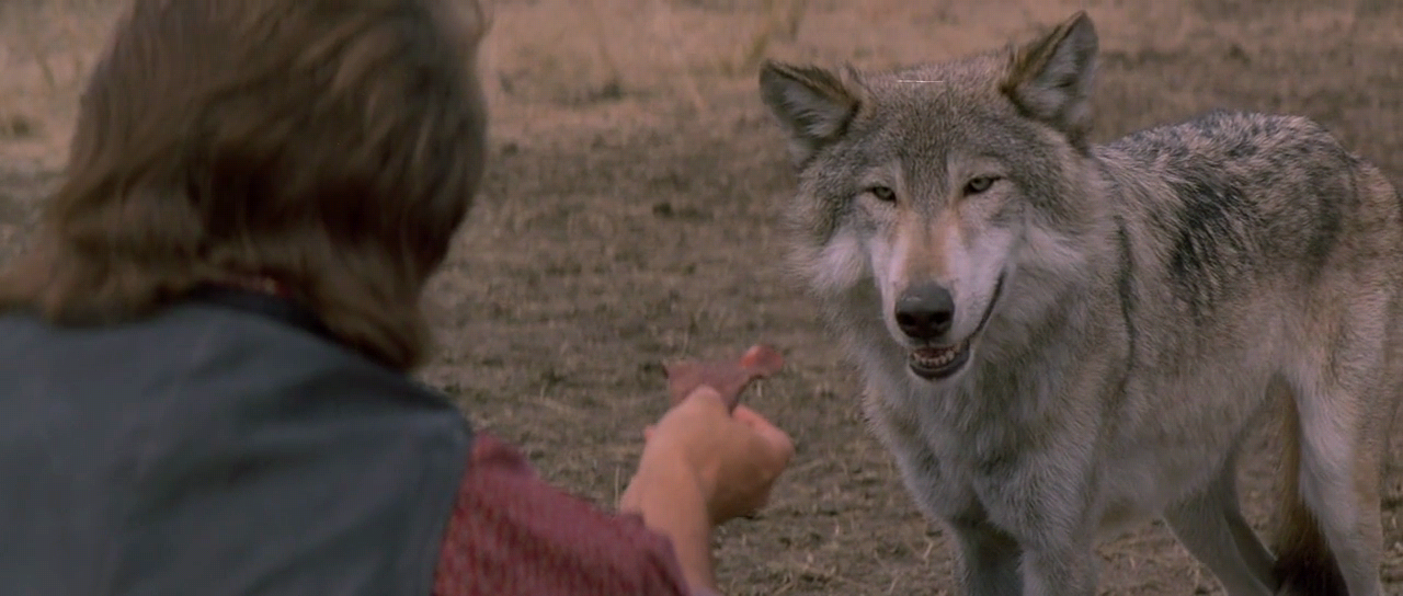 늑대와 춤을.Dances.with.Wolves.1990.BluRay.x264.AC3.720p-CMCT.mkv_023935442.png