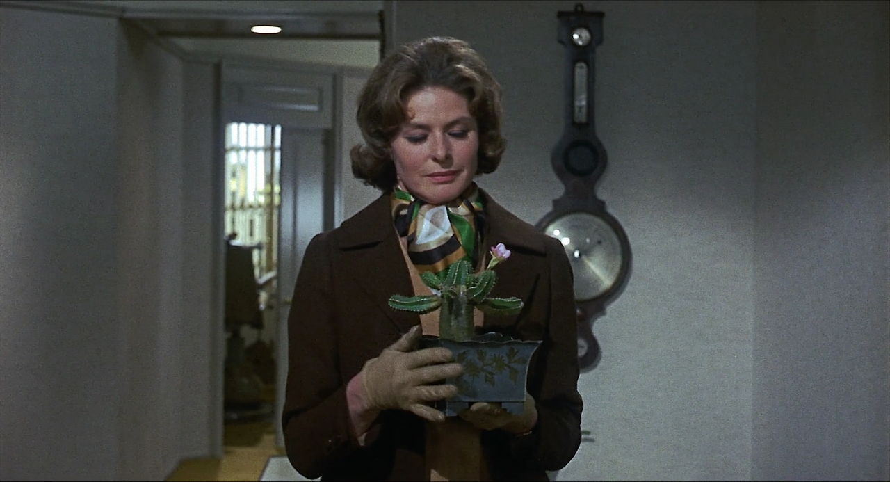 Cactus.Flower.1969.1080p.BluRay.x264-SADPANDA.mkv_005932385.png