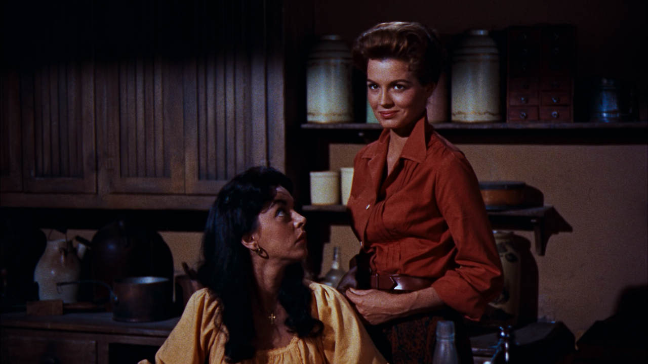 Rio Bravo (1959) (1080p BluRay x265 HEVC 10bit AAC 1.0 Tigole).mkv_007152395.png