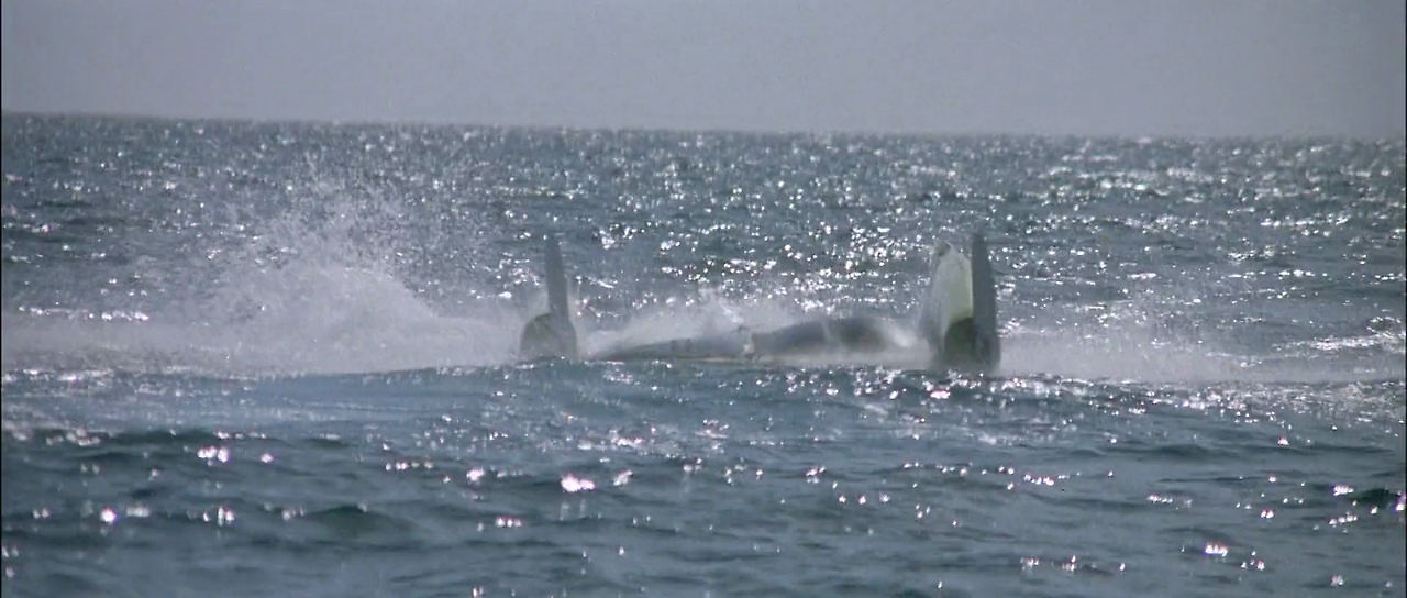 Jaws.2.1978.1080p.BluRay.H264.AAC-RARBG.mp4_012349918.png