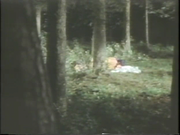 산딸기 2.DVDRip.avi_012052969.png