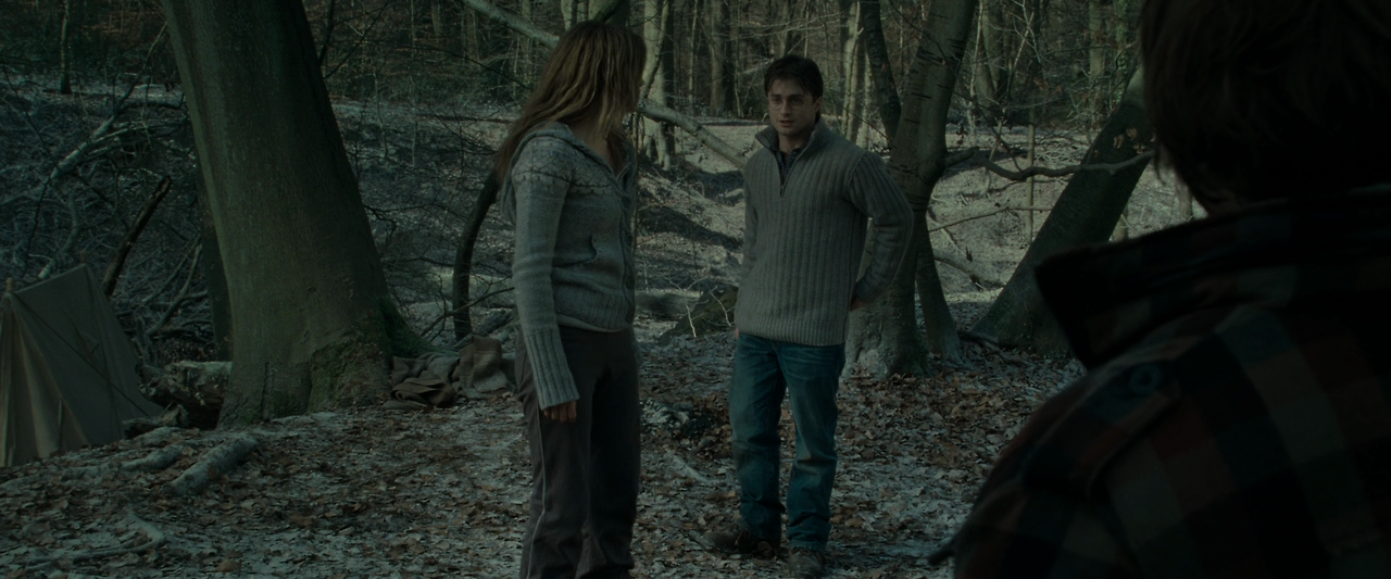 해리 포터와 죽음의 성물 - 1부.Harry.Potter.and.the.Deathly.Hallows.Part.1.2010.1080p.HQ.10bit.BluRay.5.1.x265.HEVC-MZABI.mkv_014345960.png