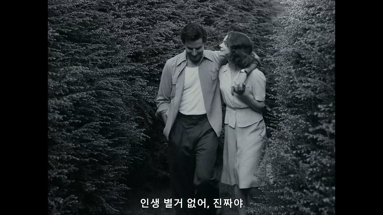 마에스트로 번스타인 (정식릴, 정식자체자막) Maestro,2023.1080p.KORSUB.WEBRip.H264.AAC.mkv_002130710.png