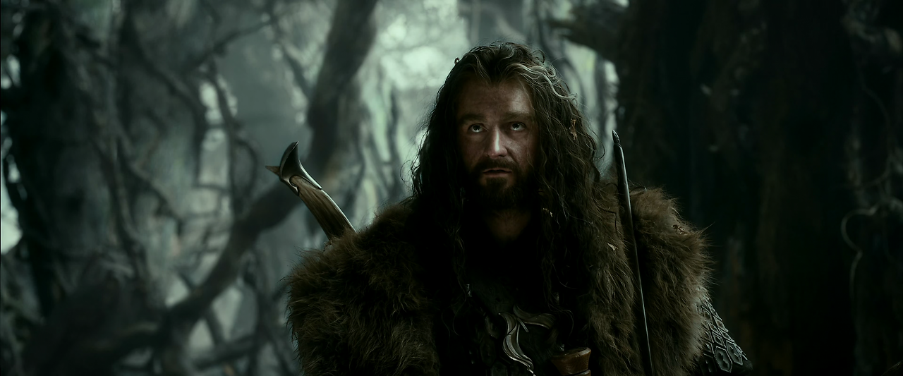 2부 호빗;스마우그의 폐허.The Hobbit-The Desolation of Smaug Edition.2013.Extended.2160p.x265.10bit.FS93-Joy.mkv_001904277.png