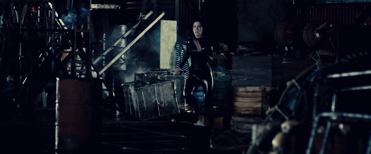 Underworld.Awakening.2012.1080p.BluRay.DTS.x264-HDCLUB.mkv_000410869.png