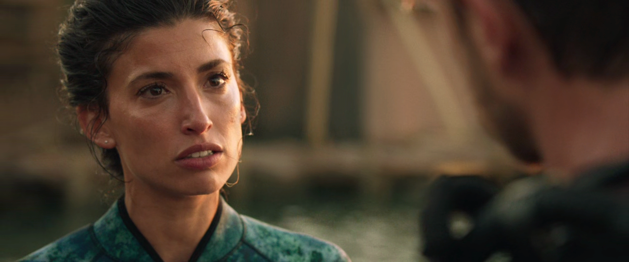 딥 블루 씨 3 Deep.Blue.Sea.3.2020.1080p.BluRay.x265-RARBG.mp4_002440329.png